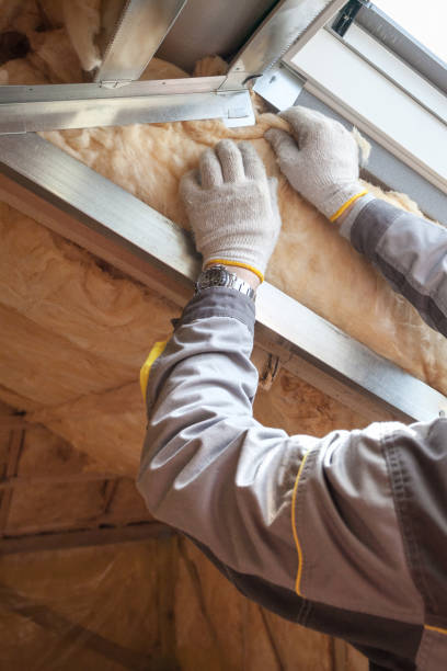 Best Crawl Space Insulation  in Morrisville, NC