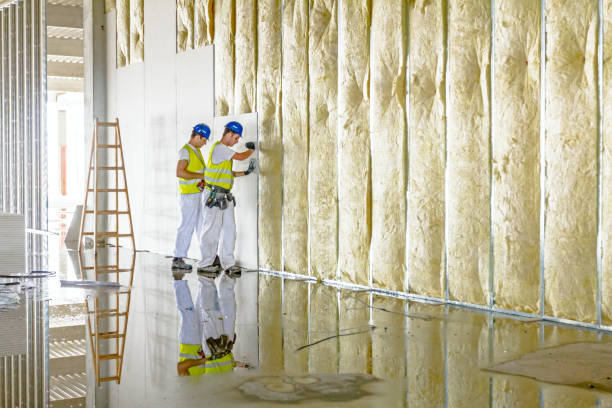 Best Insulation Air Sealing  in Morrisville, NC